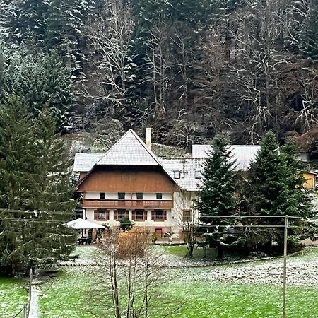 Geraeumige Wohnung Im Schwarzwald Seelbach  Esterno foto