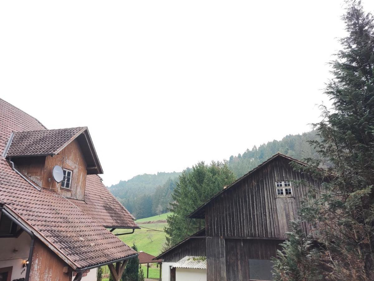 Geraeumige Wohnung Im Schwarzwald Seelbach  Esterno foto
