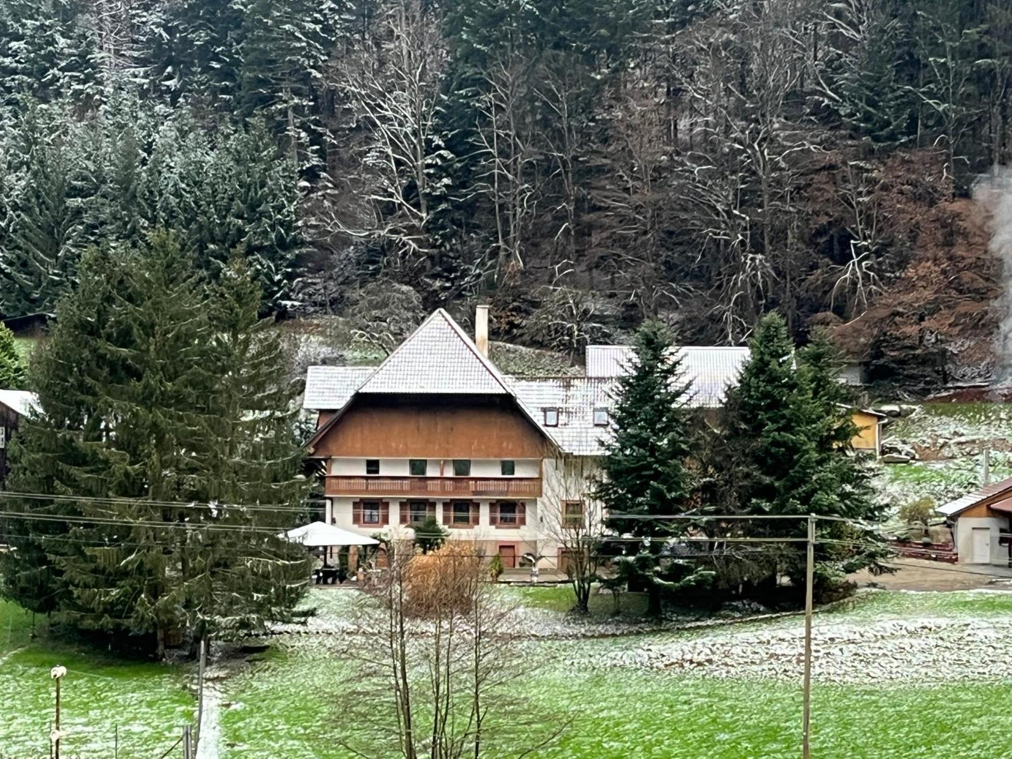 Geraeumige Wohnung Im Schwarzwald Seelbach  Esterno foto